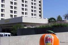 riv-2006-dt-bigorange06-002