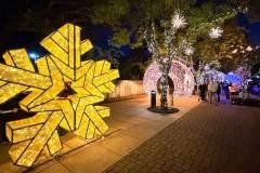 013-riv-dt-fol-077ac-20251220-2c-1600