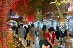 020-riv-dt-fol-114a-20251220-1000