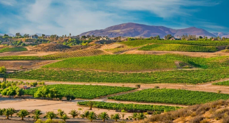 Visit Temecula Valley