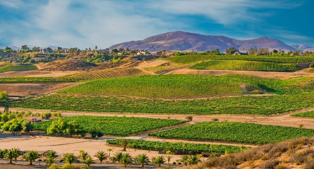 Visit Temecula Valley