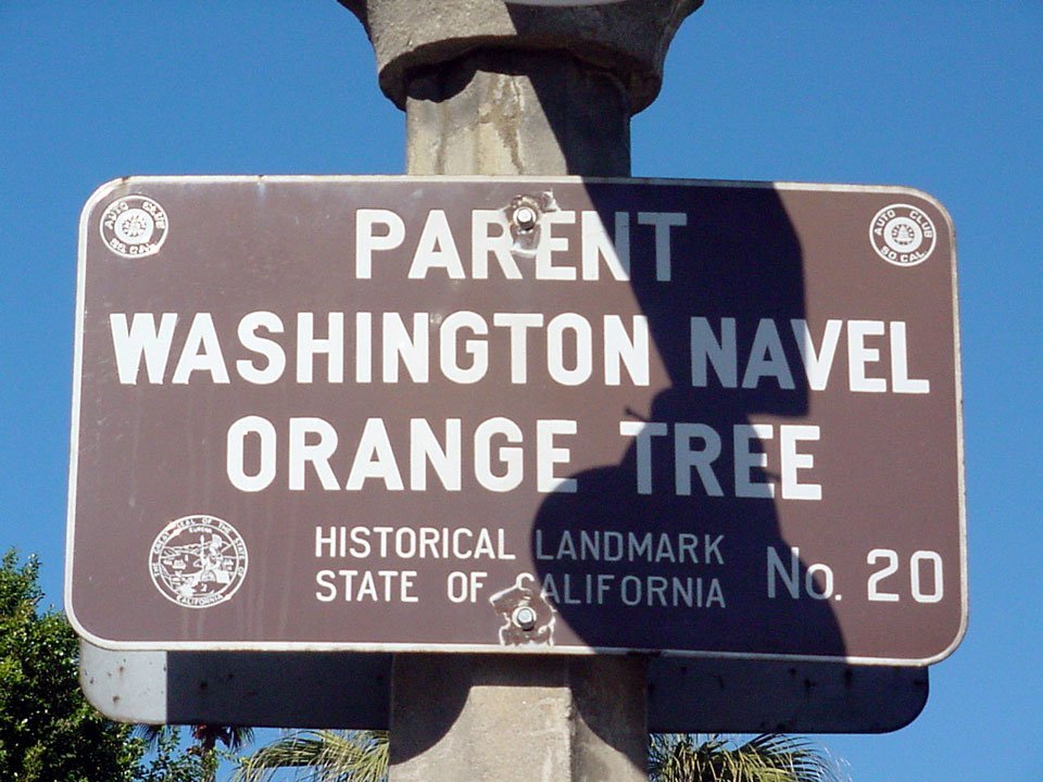 2000- California Historical Landmark No. 20 located in Riverside (RXSQ)