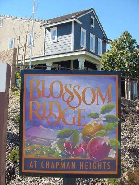 2004 - Blossom Ridge at Chapman Heights tract in Yucaipa (RXSQ)