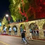2025 - Festival of Lights in downtown Riverside